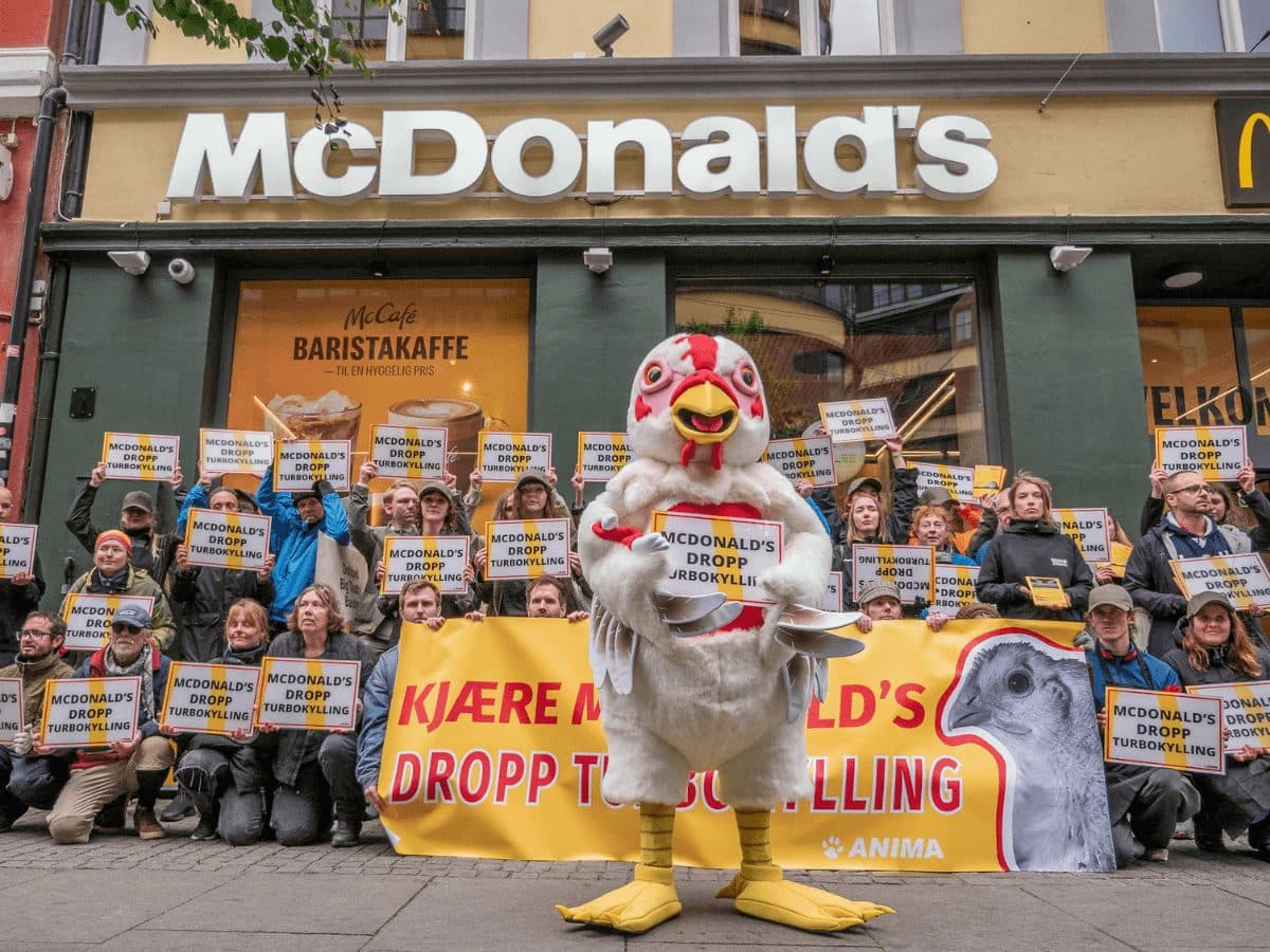 Bildet av aktivister utenfor McDonald's i Storgata